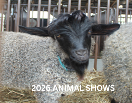 Michigan Fiber Festival Inc.