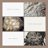 #322  Amy Ross Manko — Sheep to Skein: Fiber Processing for Funsies!   Half day Friday am   $50