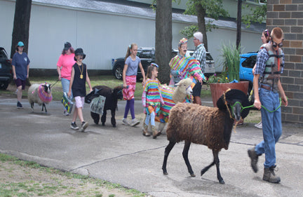 Michigan Fiber Festival Inc.