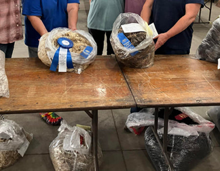 Michigan Fiber Festival Inc.