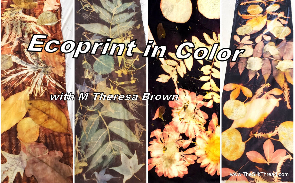 #100  M. Theresa Brown:  Ecoprint in Color on Silk & Wool    Full day Wednesday $100