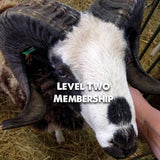 Membership Level 2