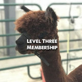 Membership Level 3